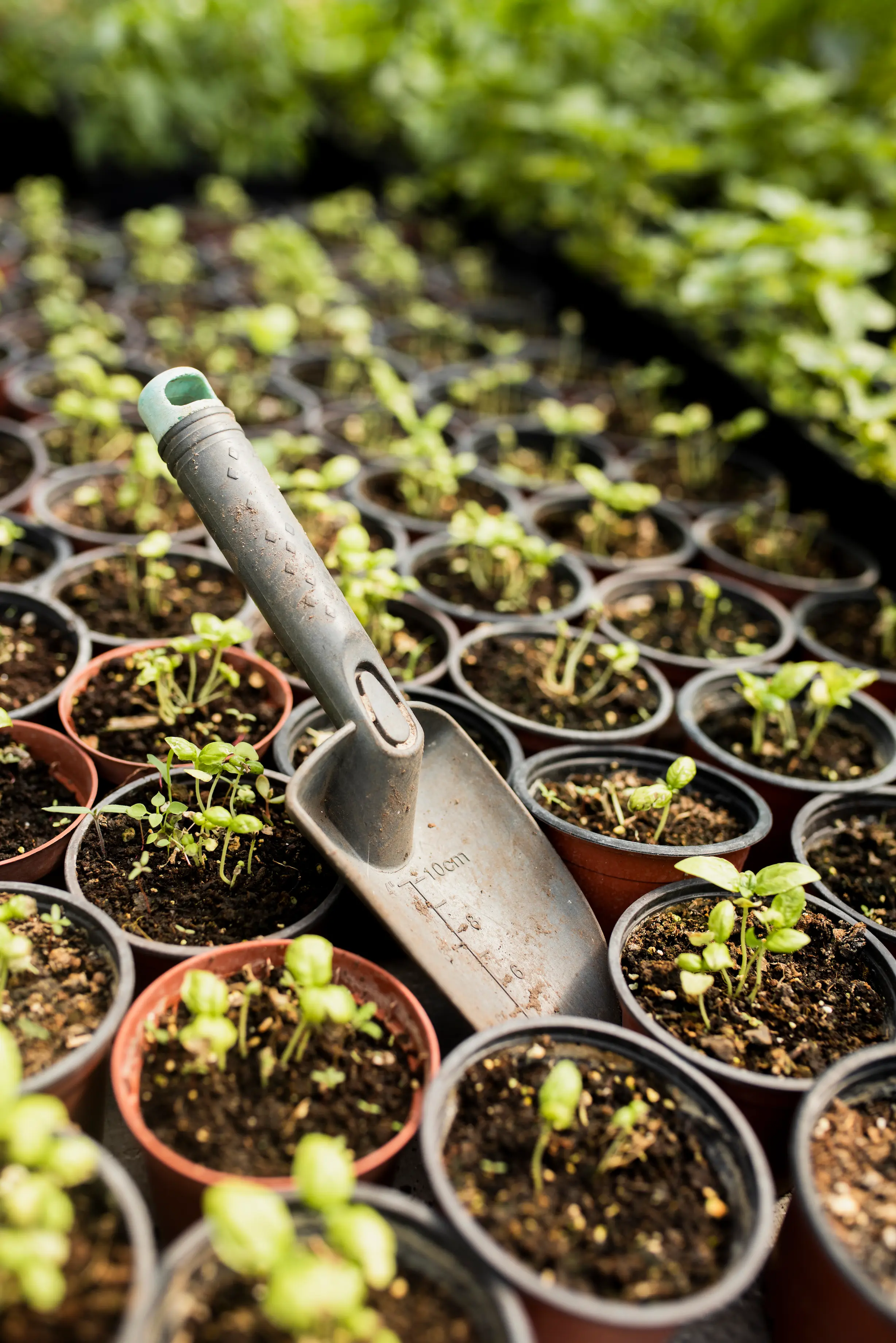 Ilustración Filosofia