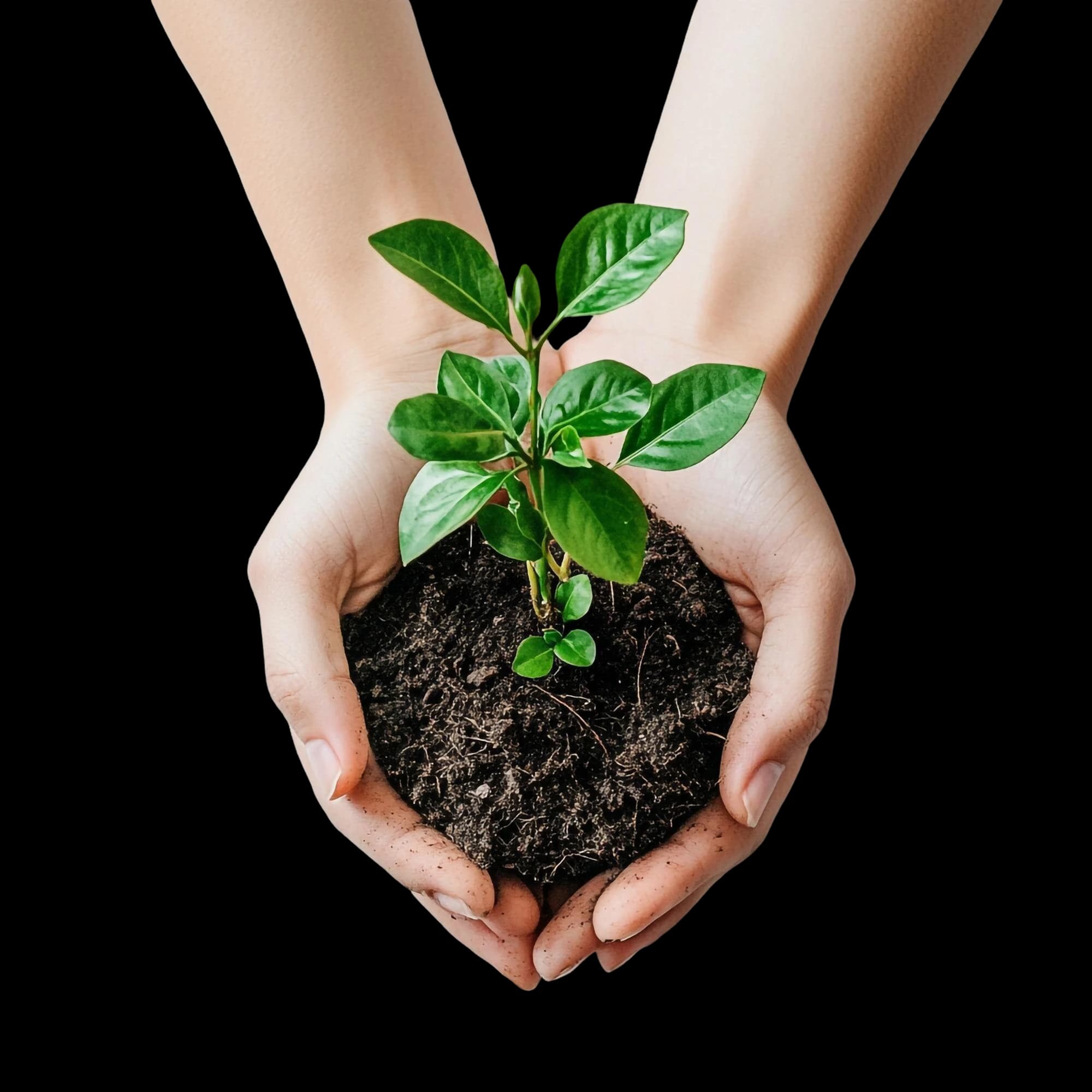 Ilustración contacto