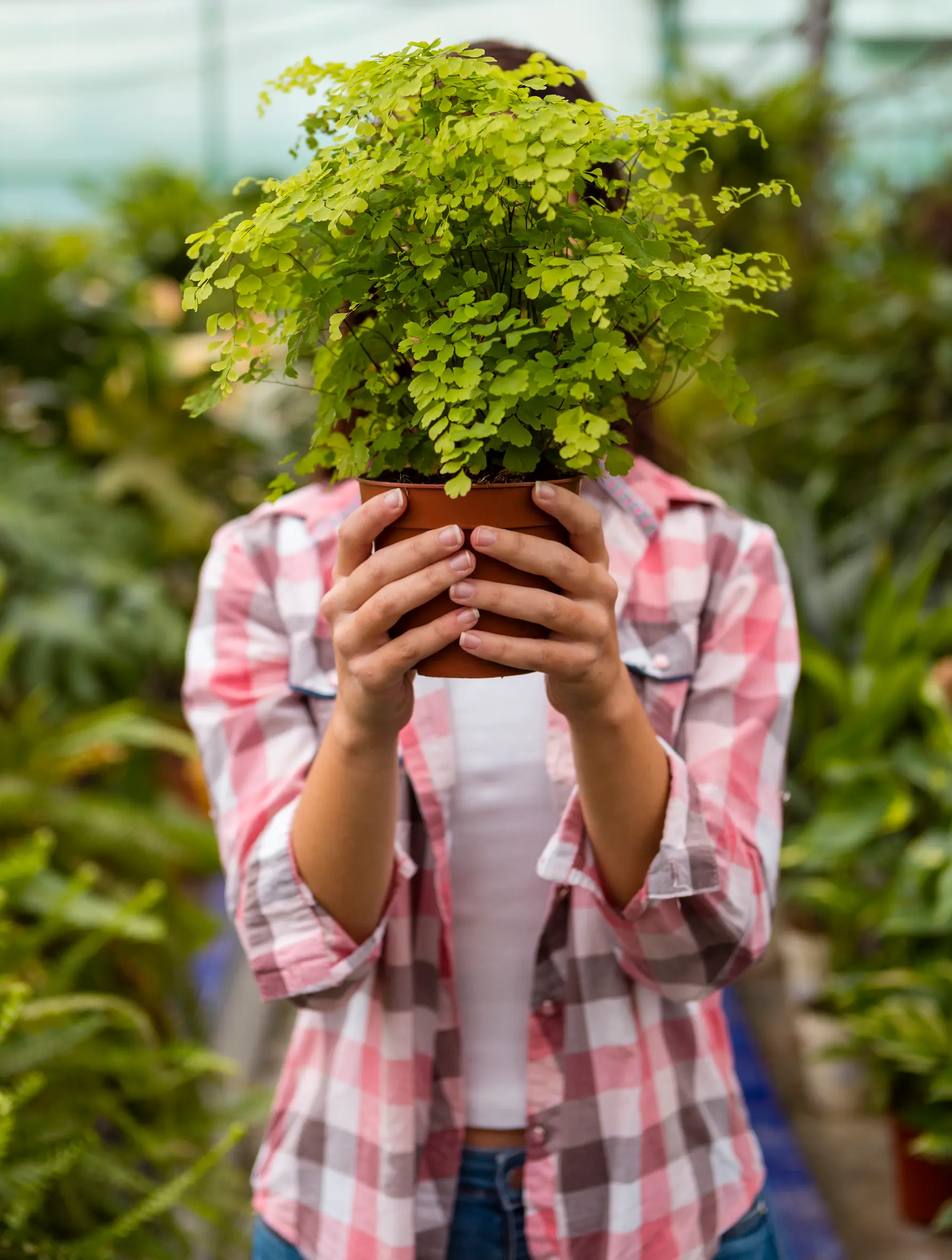 Ilustración contacto